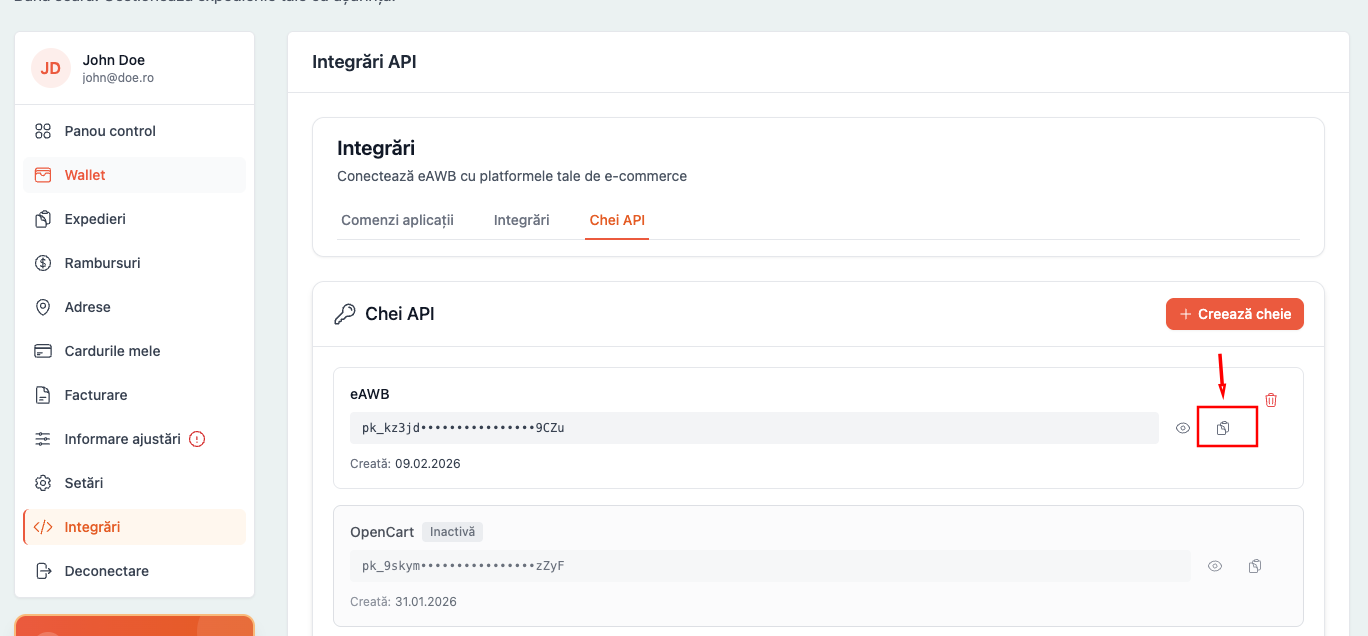 Copy API key